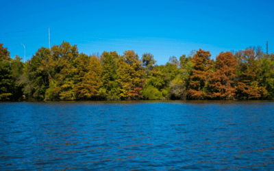 Why Fall is the Best Season for Camping in Bryan, TX